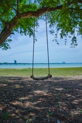  swing hanging on a tree by the sea,Tropical beach background as summer landscape with beach swing or hammock and white sand and calm sea for beach banner.