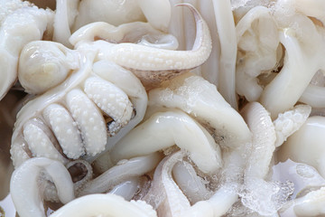 Closeup fresh raw squid on the market for sale.
