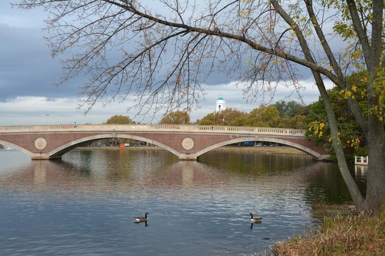 Bridge in Cambridge
