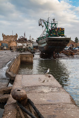 Morning in the port, Essaouira, Morocco
