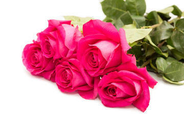 Bouquet of pink roses