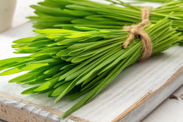 Fresh barley grass on a white background