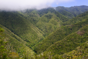 Obraz premium A beautiful landscape view in the mountains with cloud covered valley, Tenerife, Canary Islands in Spain