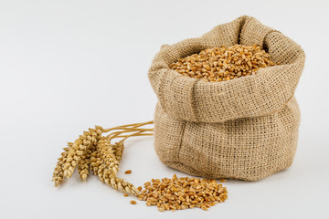 Grain, wheat in burlap bag isolated on white background.