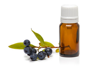 myrtle berries and bottle of essential oil isolated on white
