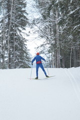 Skier winter forest. Nature landscape.