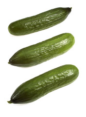 CONCOMBRE