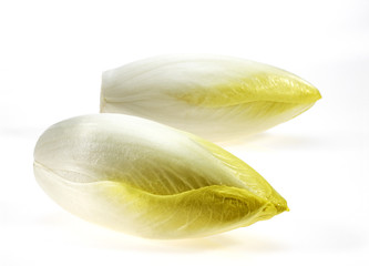 ENDIVE