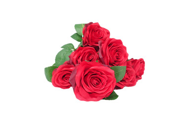   Bouquet of red roses blooming white background
