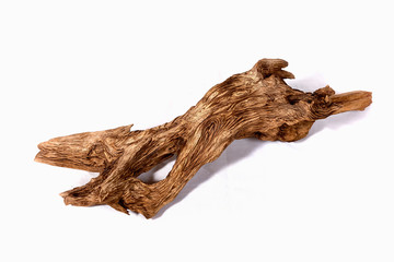 Fototapeta premium close-up isolated texture of an old tree studio