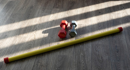 red and gray dumbbells, yellow bodybar on a gray surface