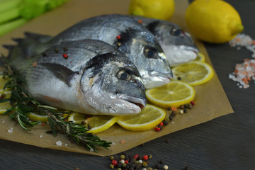 Raw fish with aromatic herbs, spices, salt and lime slices.Raw dorado on dark background .healthy...