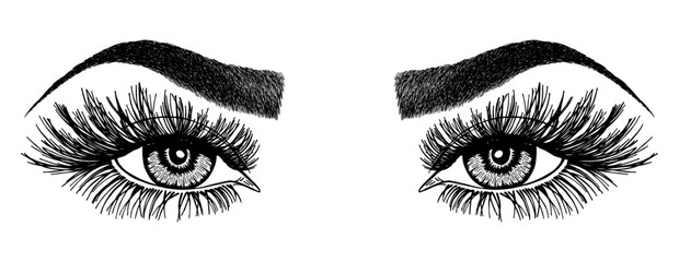 Illustration with woman's eyes, eyelashes and eyebrows. Makeup Look. Tattoo design. Logo for brow bar or lash salon.