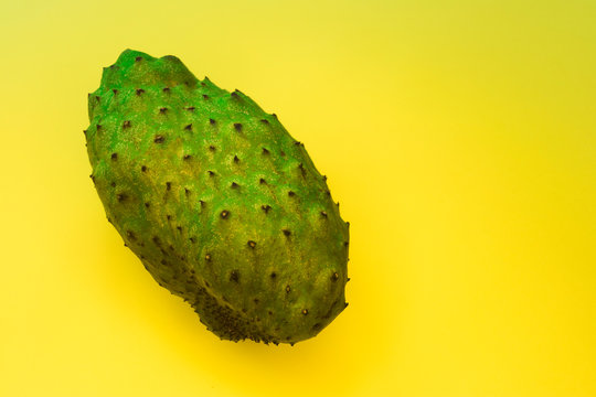 340 Best Guyabano Images Stock Photos Vectors Adobe Stock 340 Best Guyabano Images Stock Photos Vectors Adobe Stock