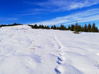 Arena Platos ski and snowboard station is located in the Cindrel mountains at an altitude of 1400 m, on the Poiana Poplacii plateau, 30 km from the city of Sibiu and 1 km from the entrance to Păltinis