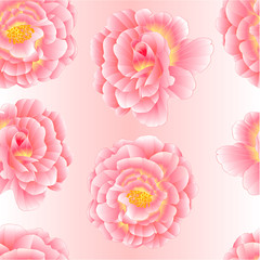 Seamless texture pink rose with orange center watercolor  on a white background vector illustration editable hand draw