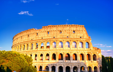 Fototapeta premium The Colosseum located in Rome, Italy..