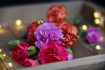 Various Colorful Carnations Bunched Together with Lights, Close-Up (Red, Purple, Pink, Orange)