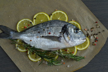 Raw fish dorada.Raw fish fillet on lemon slices on dark background ready for cooking, food background. top view. Healthy food concept. Mediterranean seafood. gilt-head sea bream