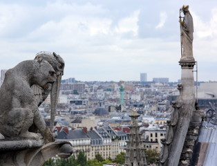 roof of the cathedral of Notre Dame in Paris while observing the