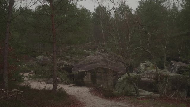 View Of Forest With Rocks At Les Sables du Cul du Chien, Fontainebleau, France