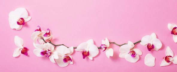 Obraz premium białe kwiaty orchidei na różowym tle papieru