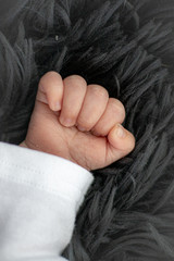 Fototapeta premium hand of newborn baby
