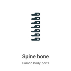 Spine bone glyph icon vector on white background. Flat vector spine bone icon symbol sign from modern human body parts collection for mobile concept and web apps design.