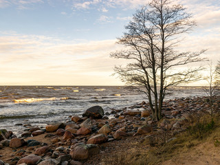 Fototapeta na wymiar landscape with stony beach