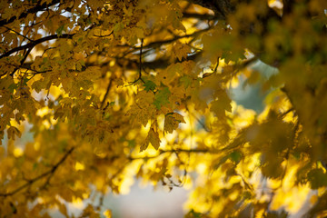 APPENNINO TOSCO EMILIANO PARCO NAZIONALE MAB UNESCO