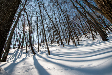 APPENNINO TOSCO EMILIANO PARCO NAZIONALE MAB UNESCO