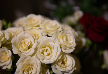 Photo of trendy flowers for graphic and web design. Floral image for web or mobile app
