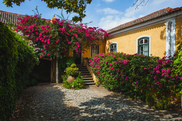Fototapeta premium A courtyard of a yellow portuguese house
