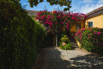 A courtyard of a yellow portuguese house