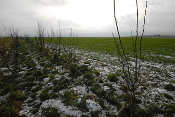 landscape near Hanover, Bad Muender