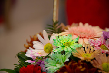 Photo of trendy flowers for graphic and web design. Floral image for web or mobile app