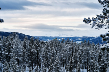 Winterlandscape Hallingdal, Gol