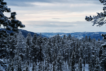 Winterlandscape Hallingdal, Gol