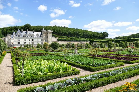 Le ch&acirc;teau de Villandry vu depuis le jardin potager