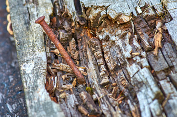 Rusty nail in the Board