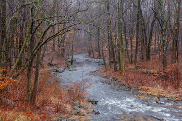 Rahway River in Millburn New Jersey during winter