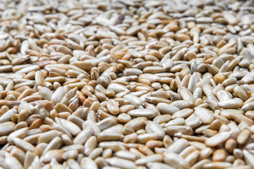 Large number of peeled roasted sunflower seeds of different sizes. Side view. Texture, background, close-up