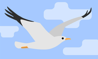 Seagull