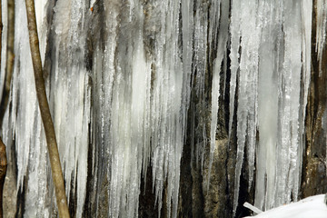 Icicles on a rock