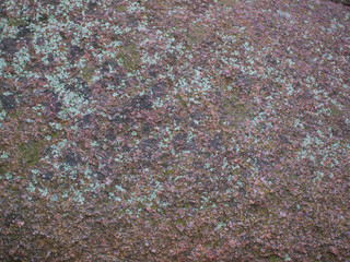  red stone covered with moss
