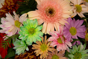 Photo of trendy flowers for graphic and web design. Floral image for web or mobile app
