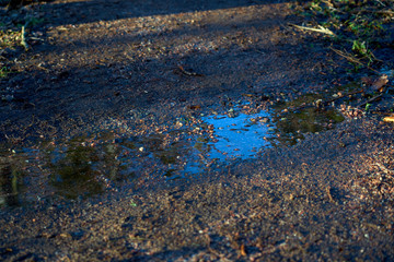 Stream on a meadow with reflection of blue sky. Spring concept.