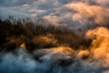Garden poster Morning with fog Splendid sunrise in the Carpathian Mountains.