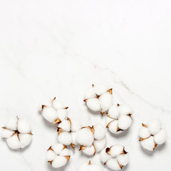 Cotton flowers on a marble background. Natural product concept, decor, home decoration, interior. Square. Flat lay, top view