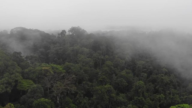 Aerial Video of Ecuadorian Amazon